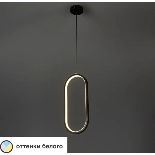 Светильник подвесной светодиодный «Руна» 2 м² регулируемый белый свет цвет черный