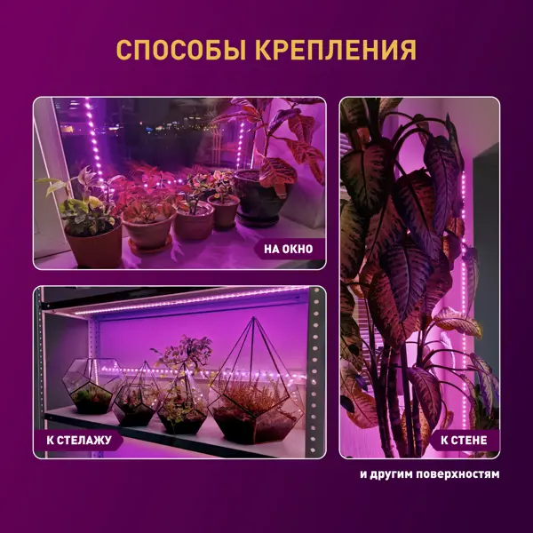 Ультрафиолетовые светодиодные ленты для растений: особенности и подключение led лент