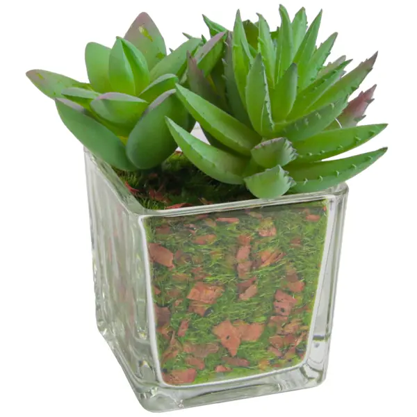 Искусственное растение Суккулент 10 см цвет зеленый искусственное растение суккулент