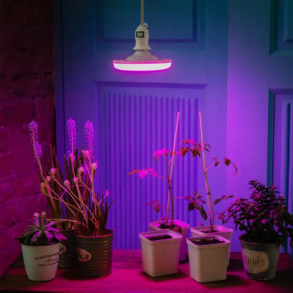 Фитолампа светодиодная для растений Uniel E27 220-230 В 16 Вт 150 мм красно-синий спектр розовый свет фитолампа светодиодная для растений uniel е27 220 в 24 вт клевер 3 лепестка красно синий спектр розовый свет