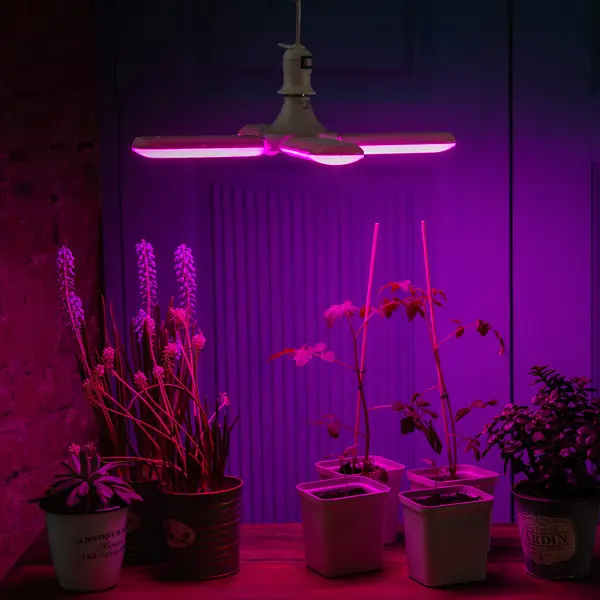 фото Фитолампа светодиодная для растений uniel е27 220 в 24 вт клевер 3 лепестка красно-синий спектр розовый свет