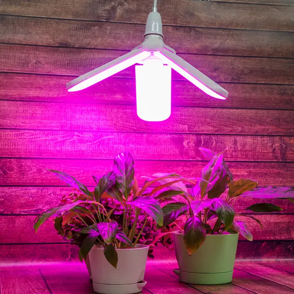 Лампы и светильники для растений и животных