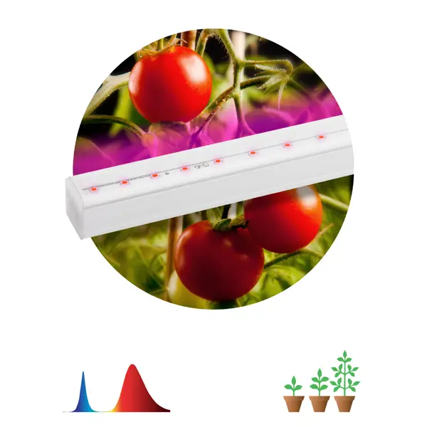 фото Фитосветильник линейный светодиодный эра fito 873 мм 14 вт красно-синий спектр розовый свет