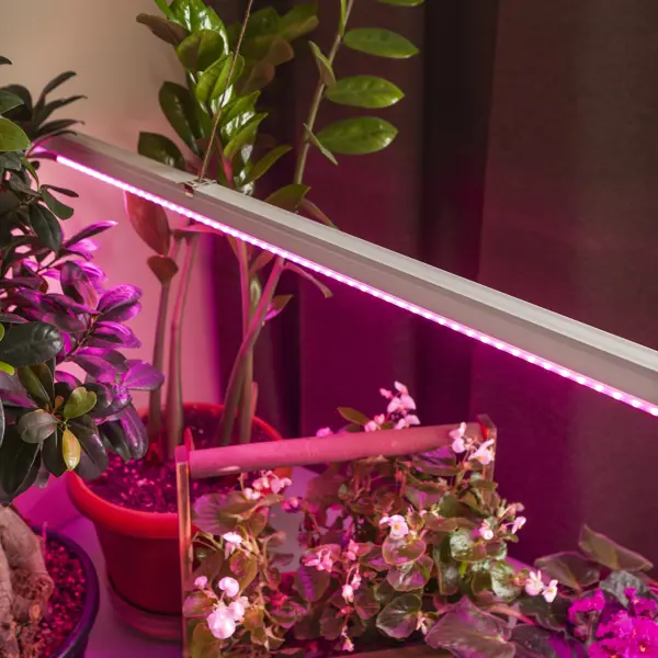 Фитосветильник линейный светодиодный Эра Fito 1173 мм 16 Вт красно-синий спектр розовый свет прожектор светодиодный для растений эра fito 80 вт красно синий спектр розовый свет