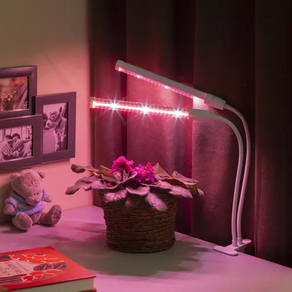 фото Фитосветильник светодиодный для растений эра на прищепке красно-синий спектр розовый свет 20 вт