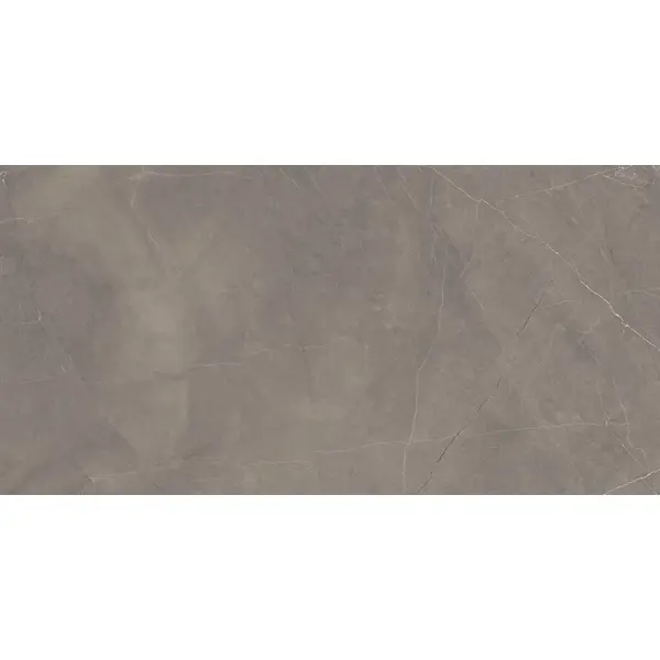 Глазурованный керамогранит Ceradim Stone Micado Grey 120x60 см 1.44 м² полированный цвет табачный глазурованный керамогранит ceradim stone micado grey 120x60 см 1 44 м² полированный табачный