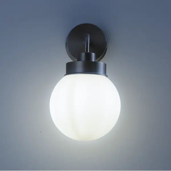 Настенный светильник Kron FR5339WL-01N под лампу влагозащищенный цвет серебристый электросамокат mizar kron 2 0