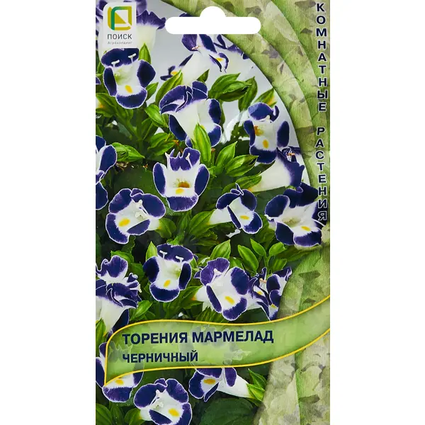 Семена цветов Поиск торения Мармелад черничный 5 шт. семена цветов торения мармелад черничный 4 упаковки 2 подарка от продавца