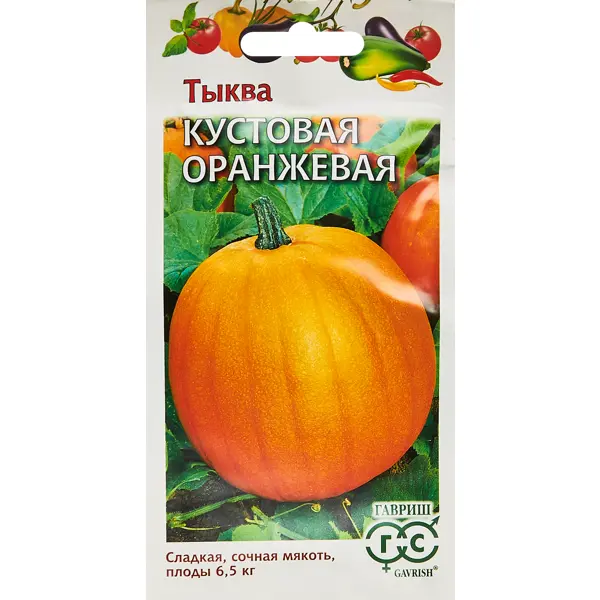 Семена овощей Гавриш тыква кустовая оранжевая оранжевая комбинированная канистра stihl profi 00008810113