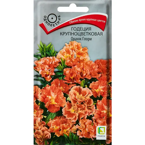 Семена цветов Поиск годеция крупноцветковая Оранж Глори