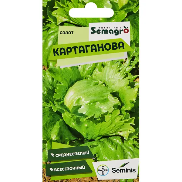 Семена салат Картаганова семена салат картаганова