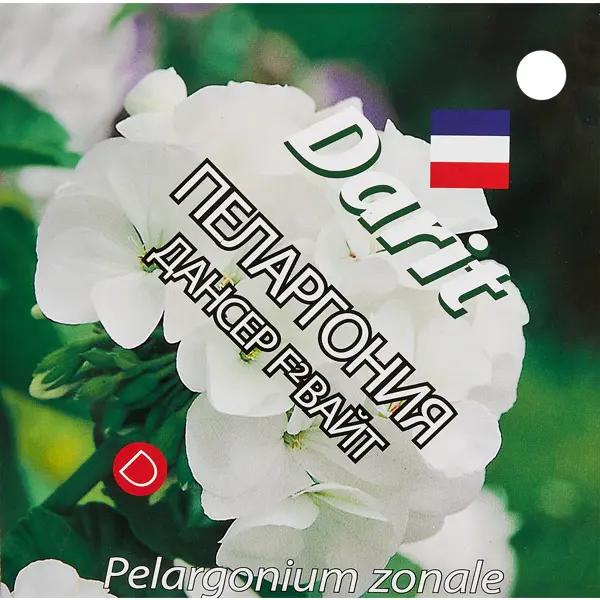 Семена цветов Дарит пеларгония Дансер Вайт F2 4 шт. пеларгония зональная дансер дип роуз f2