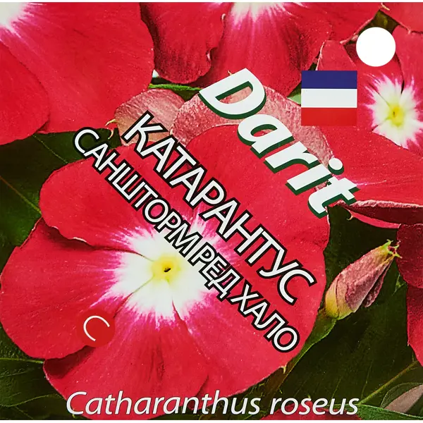 Семена цветов Дарит катарантус Саншторм Ред Хало 8 шт. семена ов катарантус теплая волна бургунди 7 шт