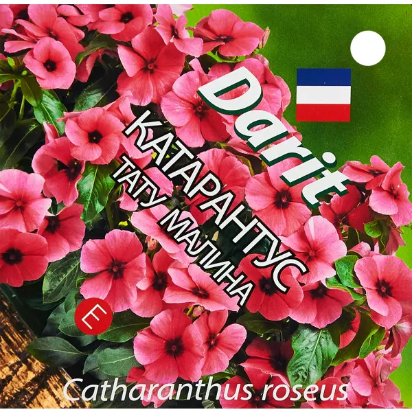 Семена цветов Дарит катарантус Тату Малина малина с2 бабье лето h40