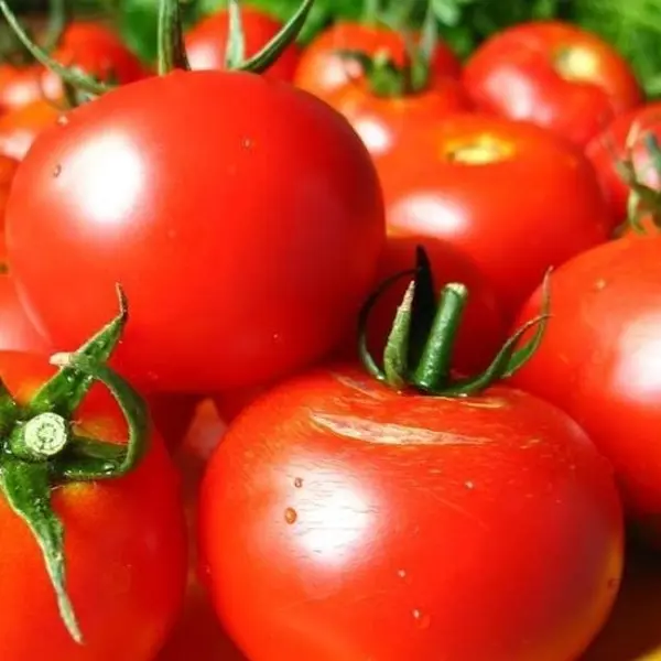 Семена Томат «Волгоградский» 323 семена томат волгоградский скороспелый 323 лидер раннеспелый 0 2 г