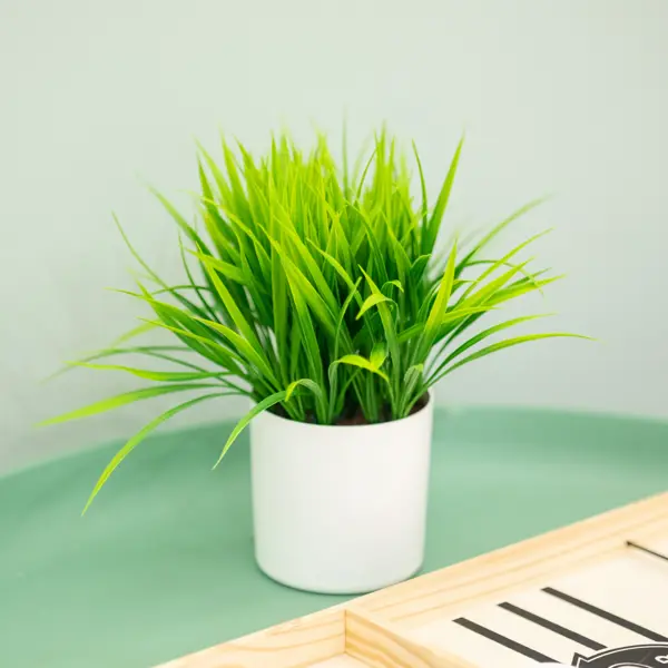 фото Искусственное растение осока в горшке полиэстер зеленое 22x9 см без бренда