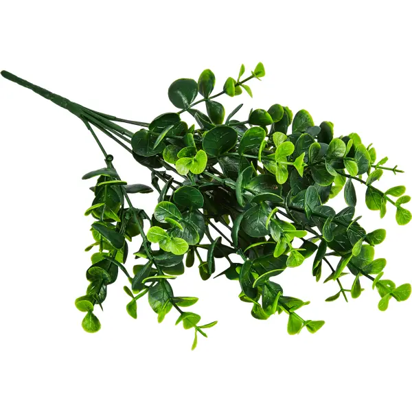 Искусственное растение Эвкалипт Ганна 35x22 см пластик цвет зеленый искусственное растение краспендия чабрец ø14 см пвх зеленый