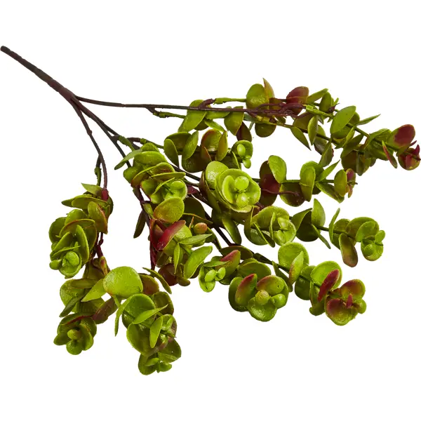 Искусственное растение Holiday 35x20 см пластик цвет зеленый искусственное растение дерево 81x14 5 см пластик