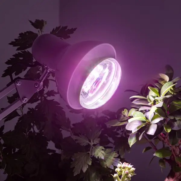 Фитолампа светодиодная для растений Эра Fito E27 15 В 220 Вт 500 Лм груша полноспектральная теплый белый свет
