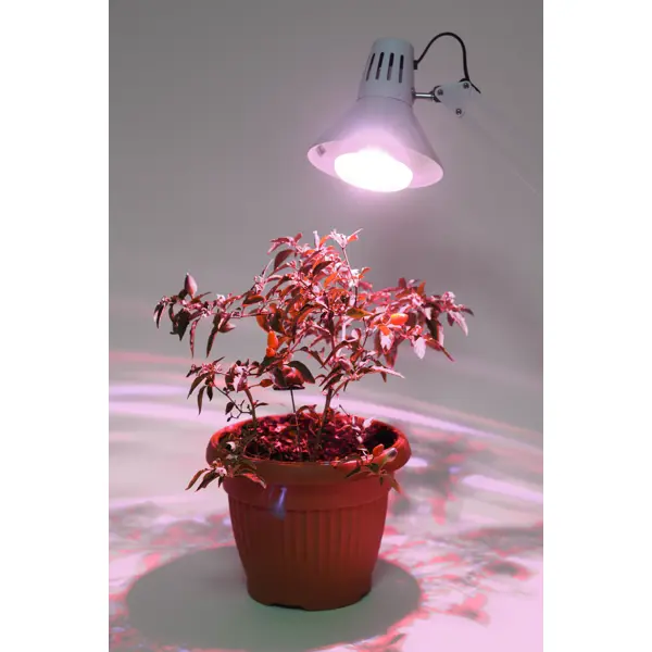 фото Фитолампа светодиодная для растений эра fito e27 15 в 220 вт 500 лм груша полноспектральная теплый белый свет