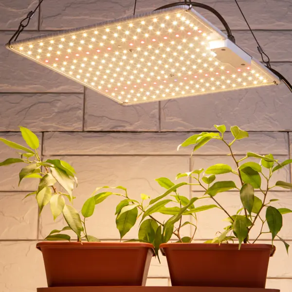 Панель светодиодная для растений Эра Fito 80 Вт подвесная влагостойкая подвесная панель artceram