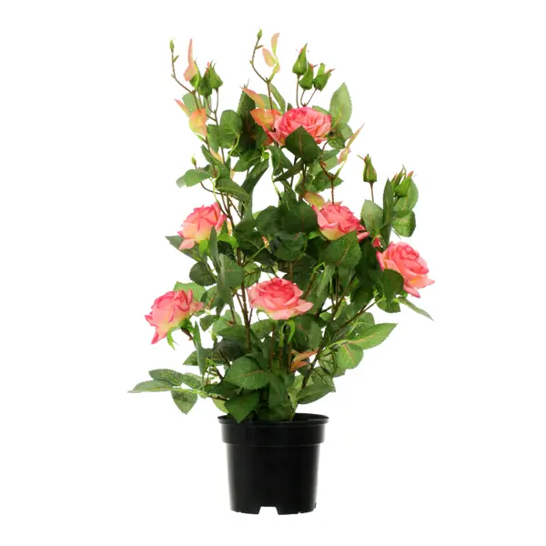 Искусственное растение в горшке роза Салем h50 см цвет розовый искусственное растение в горшке азалия h30 см розовый