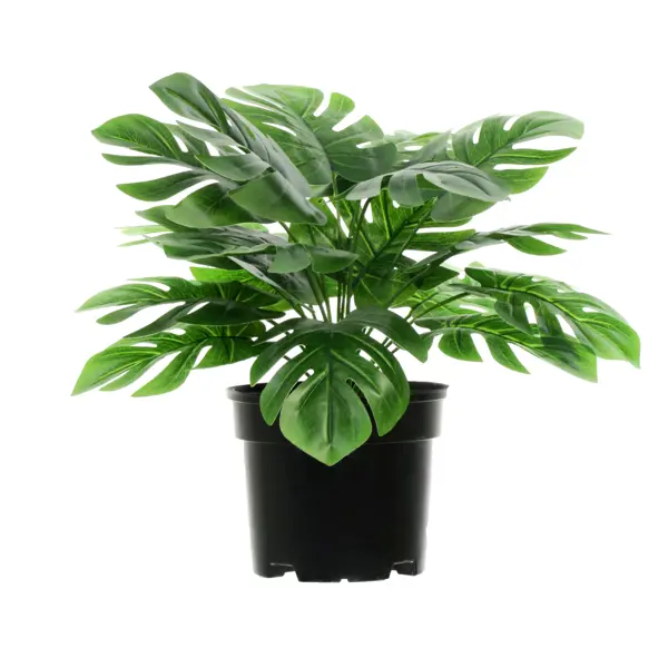 Искусственное растение в горшке монстера h30 см искусственное растение в горшке суккулент 16х15 см зелено серебристый полиэтилен