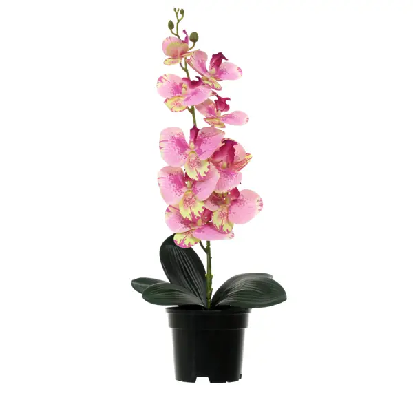 Искусственное растение в горшке орхидея h50 см цвет розовый искусственное растение оксалис 9x9 см розовый пвх