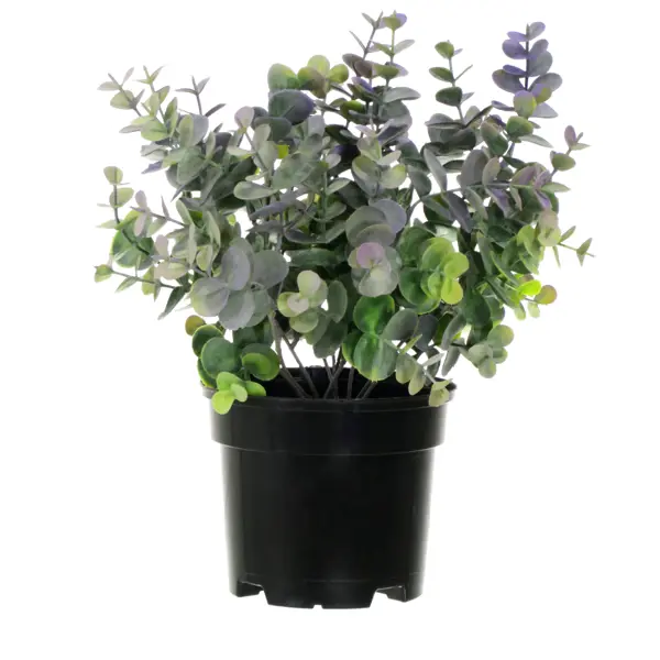 фото Искусственное растение в горшке эвкалипт h30 см цвет фиолетовый без бренда
