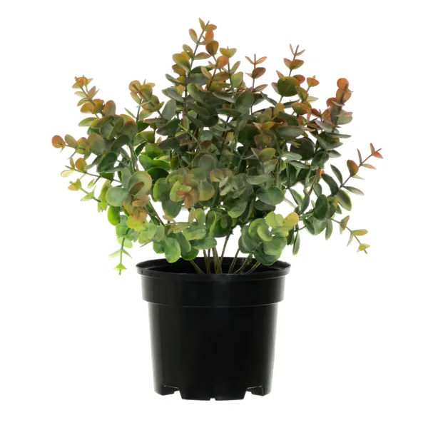 Искусственное растение в горшке эвкалипт h30 см цвет коричневый искусственное растение в горшке эвкалипт h30 см фиолетовый