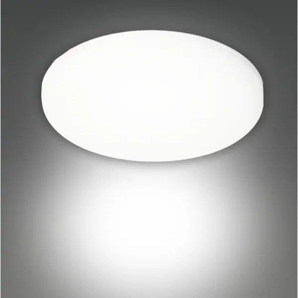 Светильник точечный светодиодный встраиваемый 18W круг 96 мм IP40 холодный белый свет шар фольгированный 18 mrs невеста круг белый
