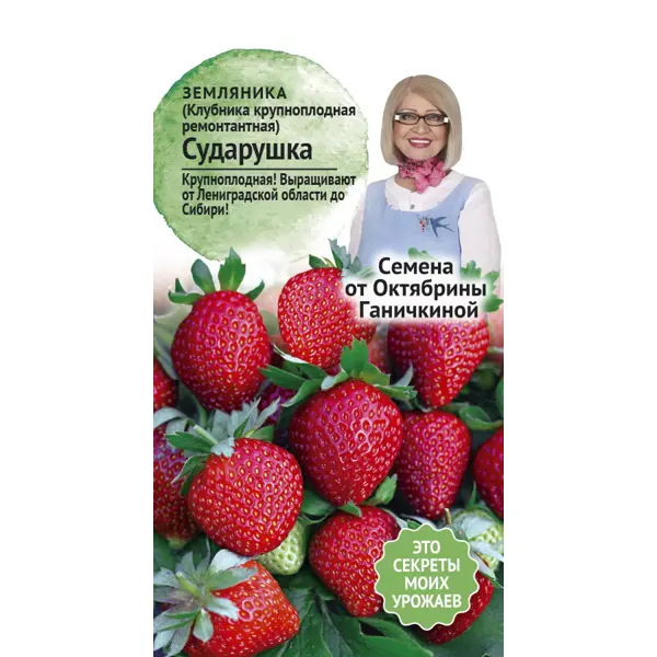 Семена ягод клубника ремонтантная Сударушка сборник для ягод гардения