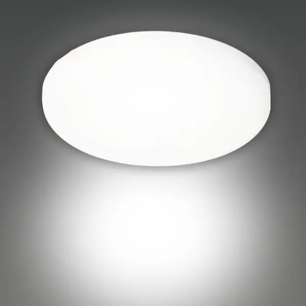 Светильник точечный светодиодный встраиваемый 10W круг 71 мм IP40 холодный белый свет