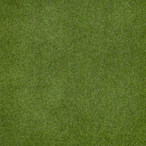 Искусственный газон «Grass» толщина 17 мм 1x2 м (рулон) цвет зеленый
