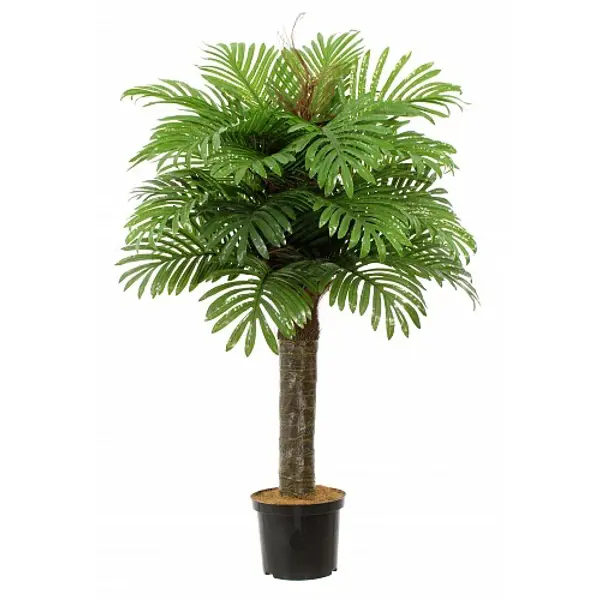 Искусственное растение пальма финиковая Саада h110 см подвесной светильник тор мат золото d80 h110 led 50w 3000k kink light 08214 33p 3000k