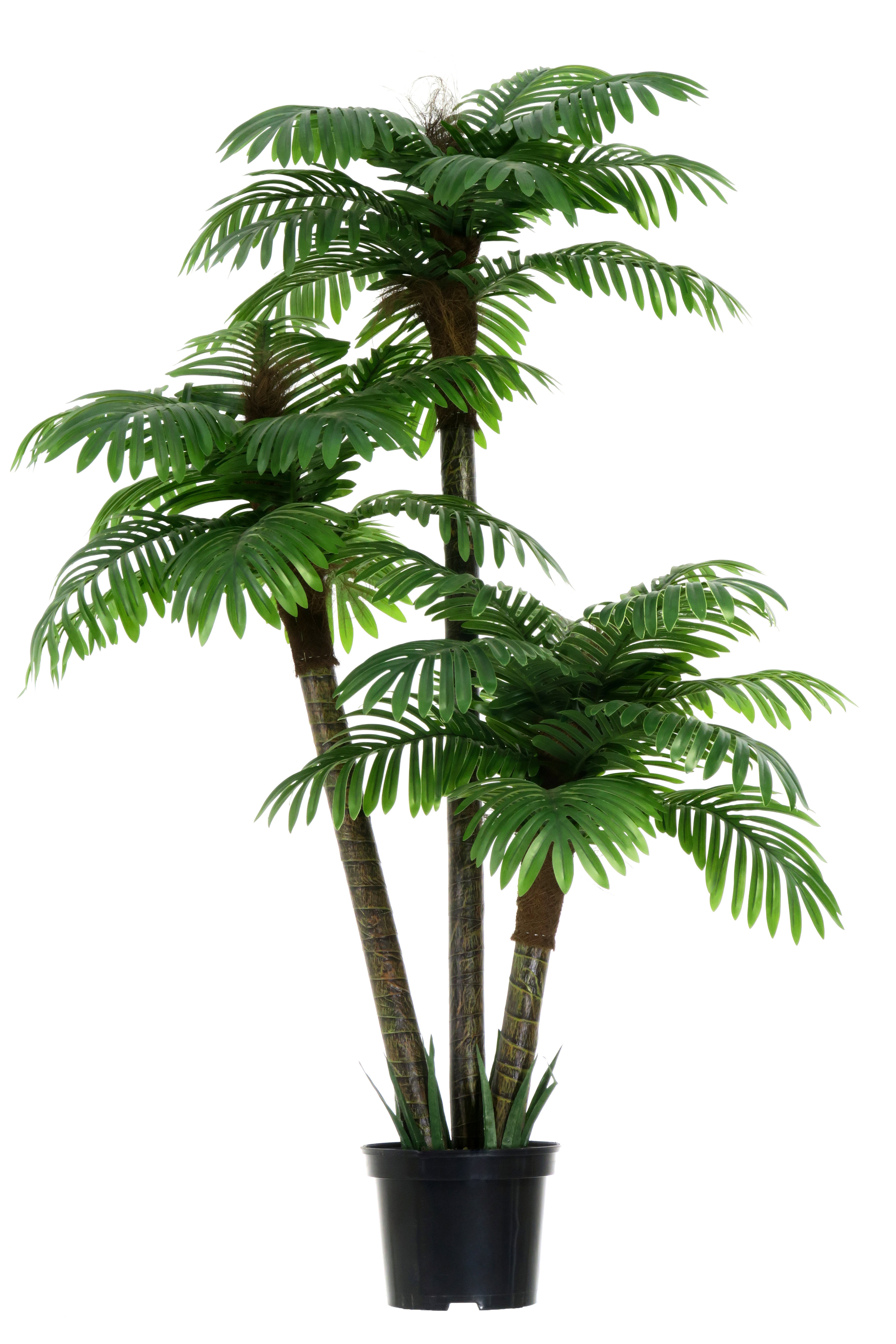 Искусственное растение пальма финиковая Масаи h150 см