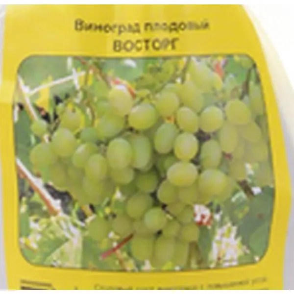 Виноград плодовый Восторг h40 см грунт четыре сезона плодовый сад 42л