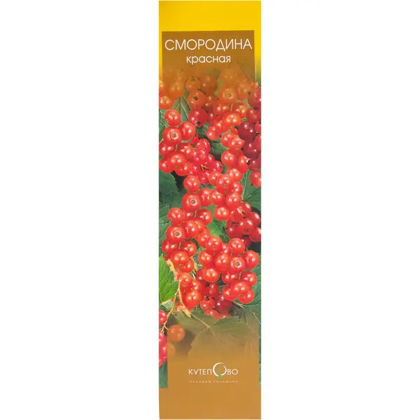 Смородина красная в коробке туес смородина чай d 10 см 14 5 × 10 5 см береста