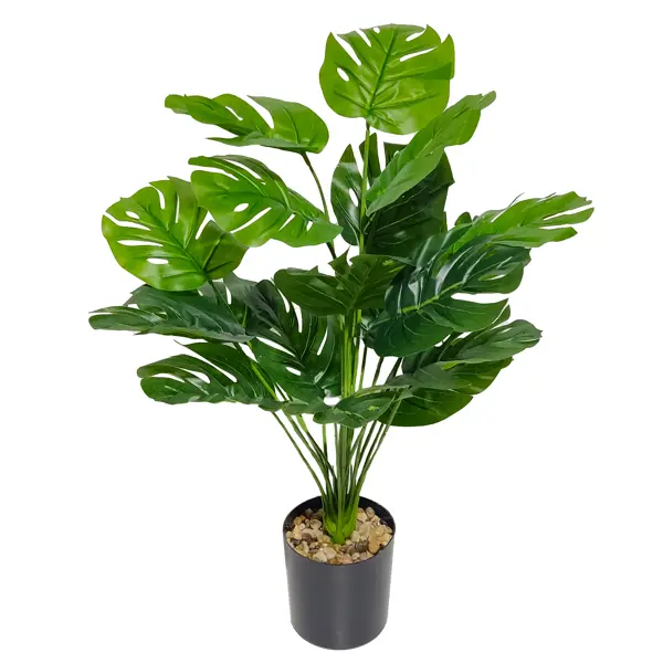 декоративно лиственное растение монстера адансони ø12 h15 35 см Искусственное растение Монстера 55 см