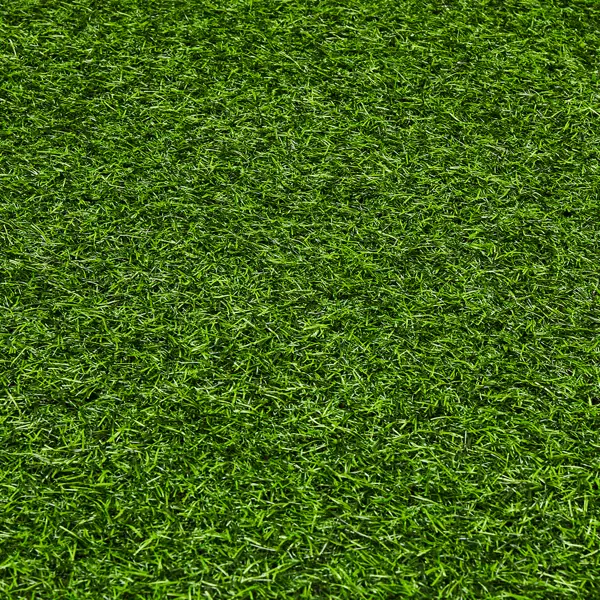 фото Искусственная трава толщина 18 мм 1х2 м цвет зеленый без бренда