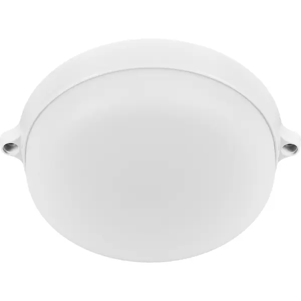 Светильник светодиодный SmartBuy SBL-BTR15-40 15 Вт IP65 круг цвет белый, накладной шар полимерный 18 неон круг белый