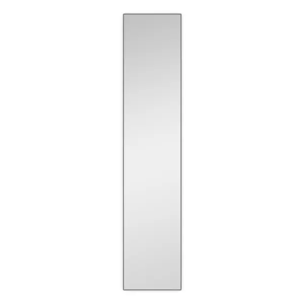 фото Дверь для шкафа с зеркалом лион 39.6x193.8x1.6 см лдсп цвет серый без бренда