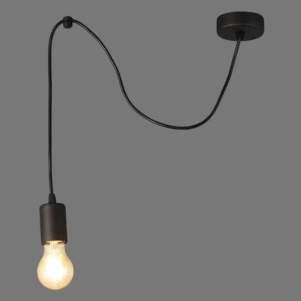 Подвесной светильник Inspire Паук 1 лампа 3м² Е27 цвет черный матовый немецкий с гансом гейнцем эверсом паук