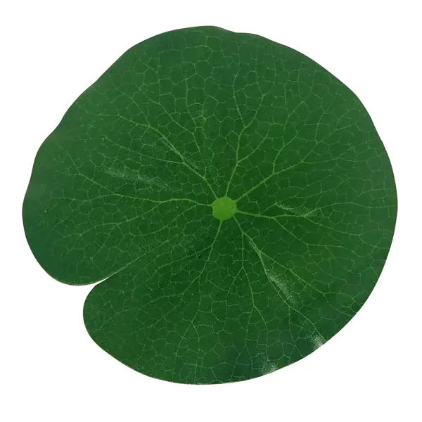 Украшение для водоема Лист ЭВА зеленое 20.5x20.5x0.2 см декоративное украшение из сосновых шишек 120x12x6 5 см