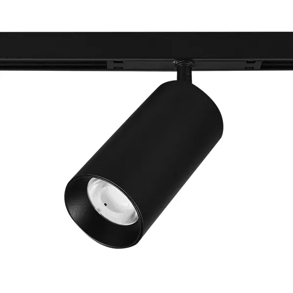 Трековый светильник Arte Lamp «Optima» светодиодный 12 Вт магнитный 2 м² цвет черный