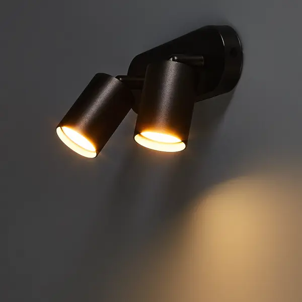 Спот поворотный Arte Lamp Aquarius 2 лампы 4 м² цвет черный спот потолочный накладной черный arte lamp gu10 50 вт ip20 под 2 лампы a1906pl 2bk