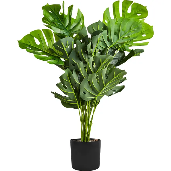 Искусственное растение Монстера Борзига 70 см дерево искусственное декоративное монстера в кашпо 75 см y4 3371