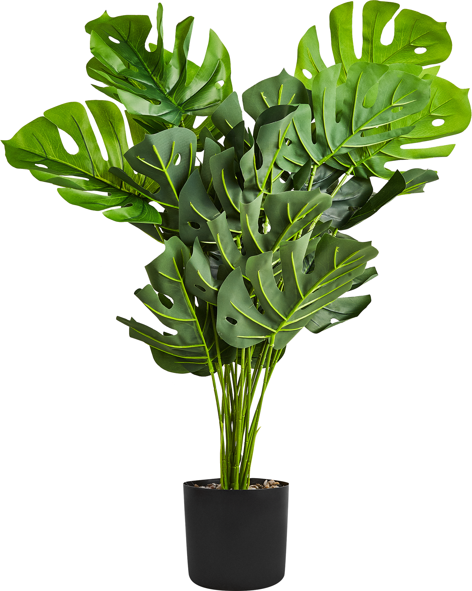 Искусственное растение Монстера Борзига 70 см