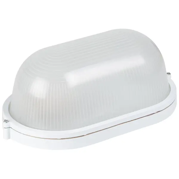 Светильник утилитарный настенно-потолочный влагозащищенный Эра НБП04-100-001 12 м² цвет белый