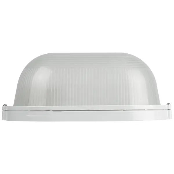 фото Светильник утилитарный настенно-потолочный влагозащищенный эра нбп04-100-001 12 м² цвет белый